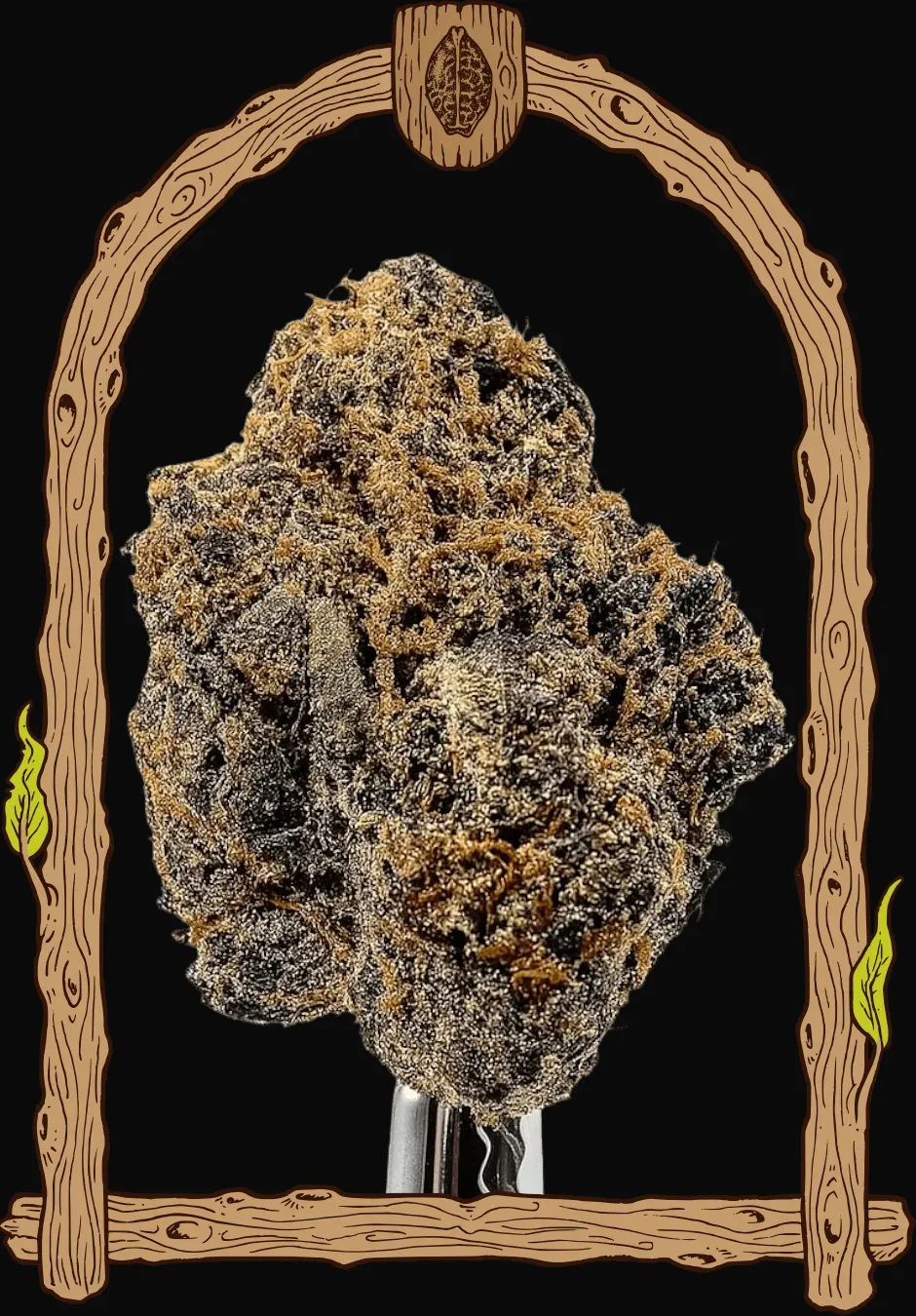 Quick Black Lemon