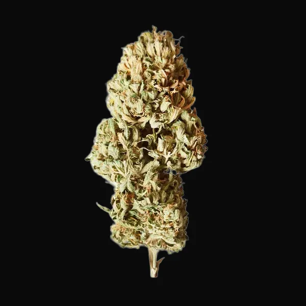 Royal AK Auto