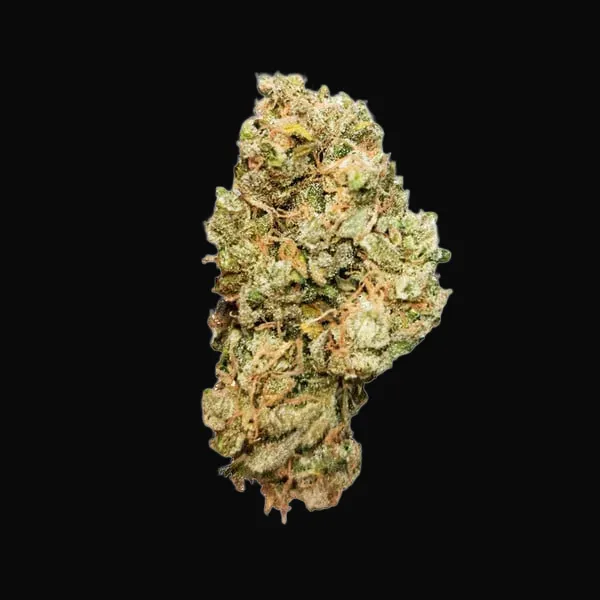 Royal Cheese Auto