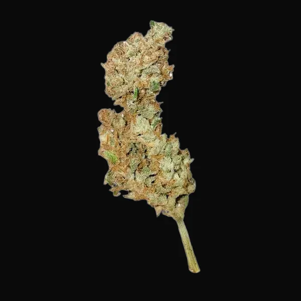 Royal Creamatic