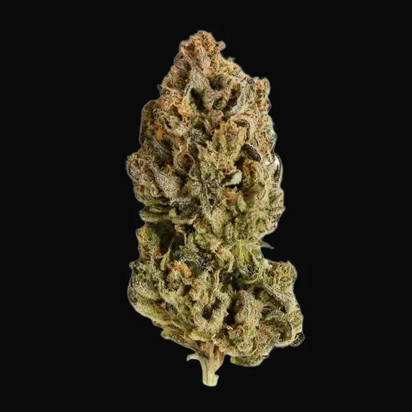 Royal Highness