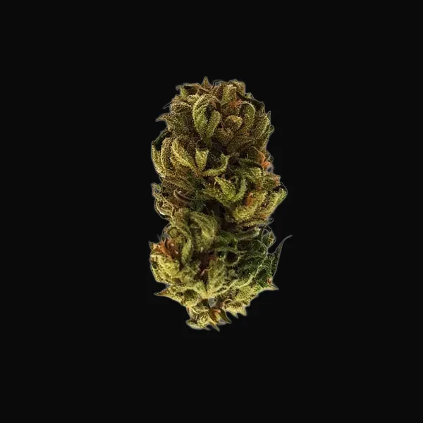 Royal Kush Auto