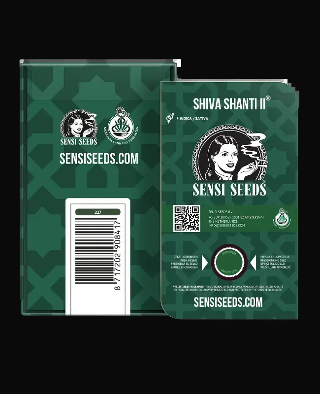 Shiva Shanti II Regular