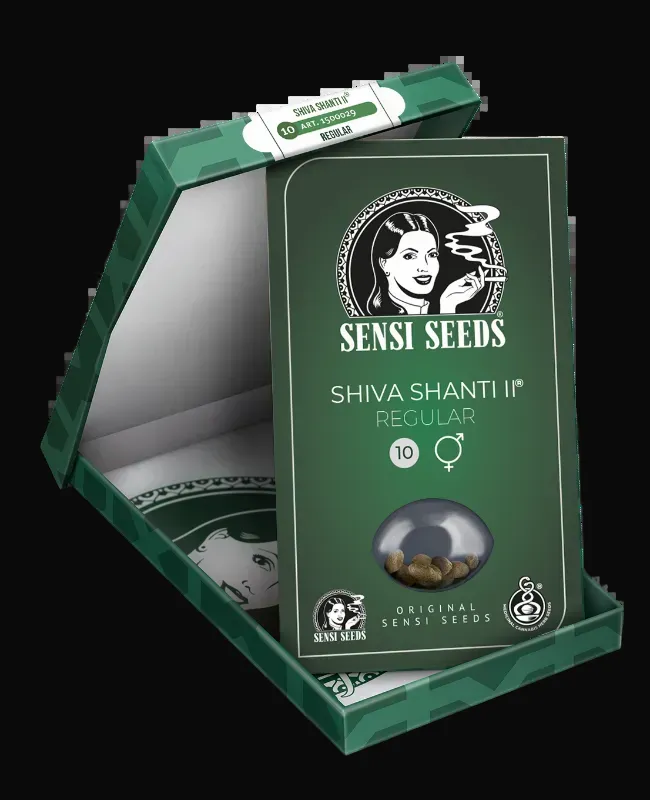 Shiva Shanti II Regular