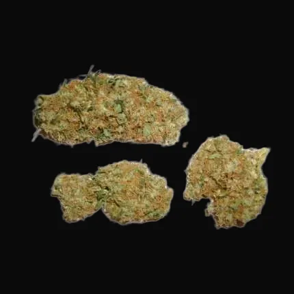 Skunk #11