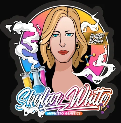 Skylar White Auto