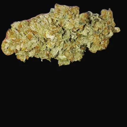 Sour Tangie Dawg
