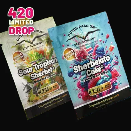 Sour Tropicana Sherbet