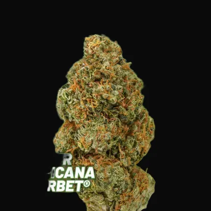 Sour Tropicana Sherbet