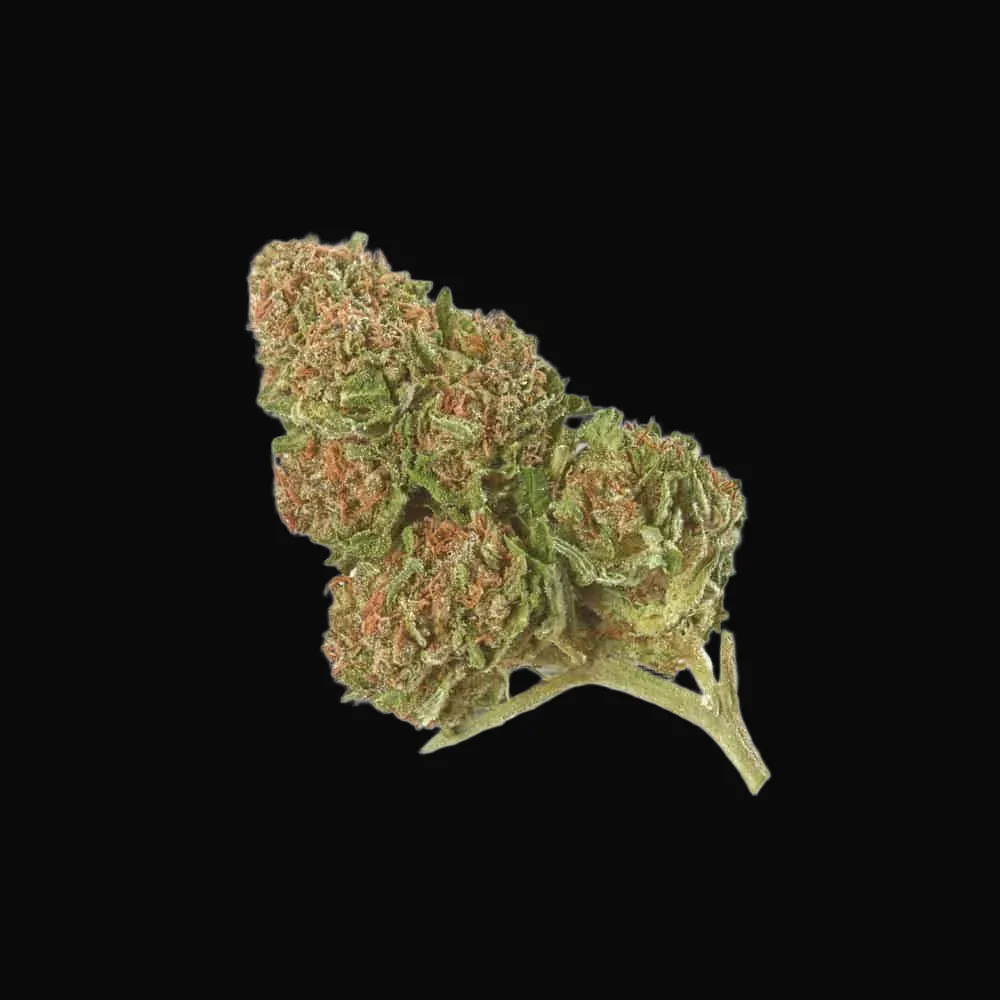 Special Skunk