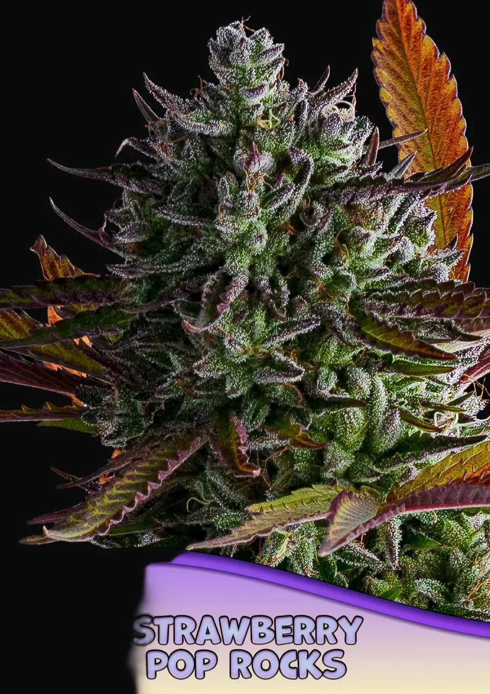 Strawberry Pop Rocks