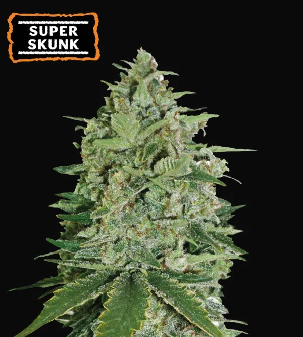 Super Skunk