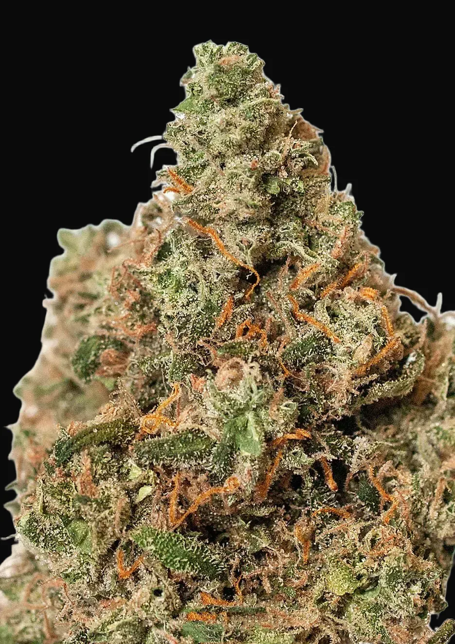 Supercheese