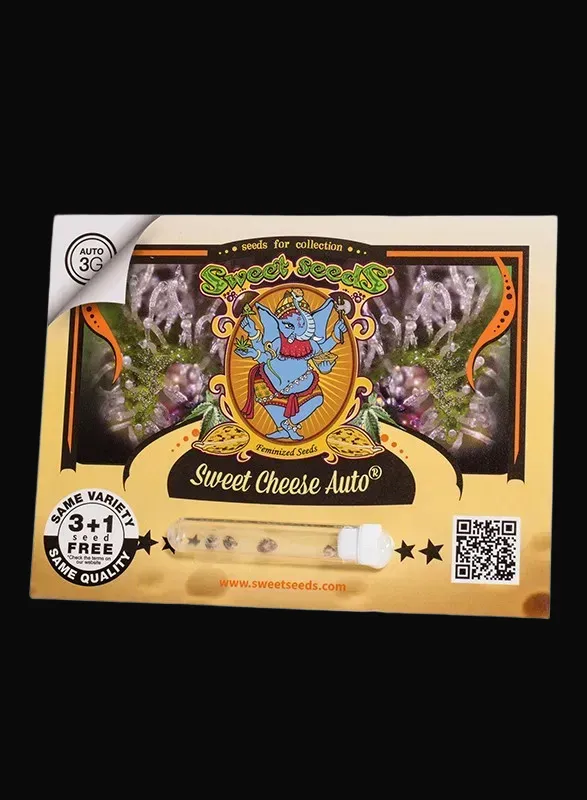 Sweet Cheese Auto