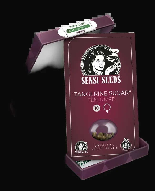 Tangerine Sugar Feminized