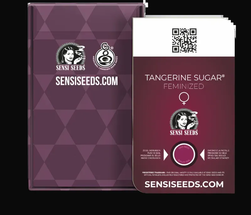 Tangerine Sugar Feminized