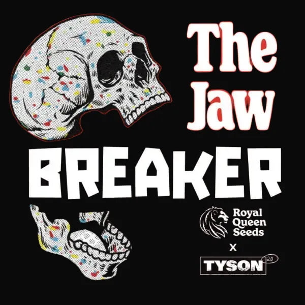 The Jawbreaker Limited Edition