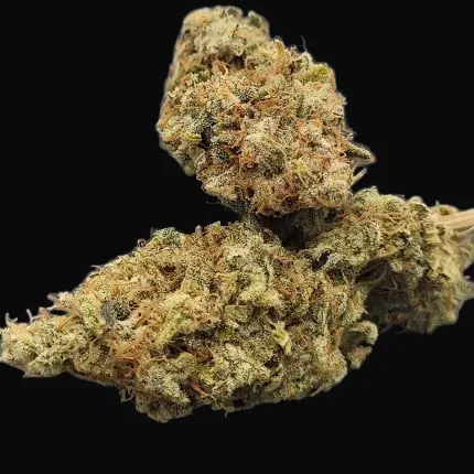 TnT Trichome