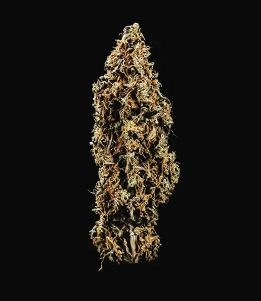 Triple G Auto