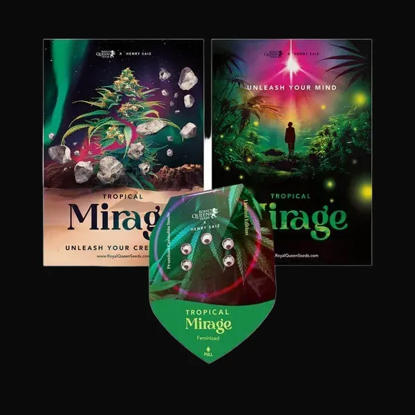 Tropical Mirage Limited Edition