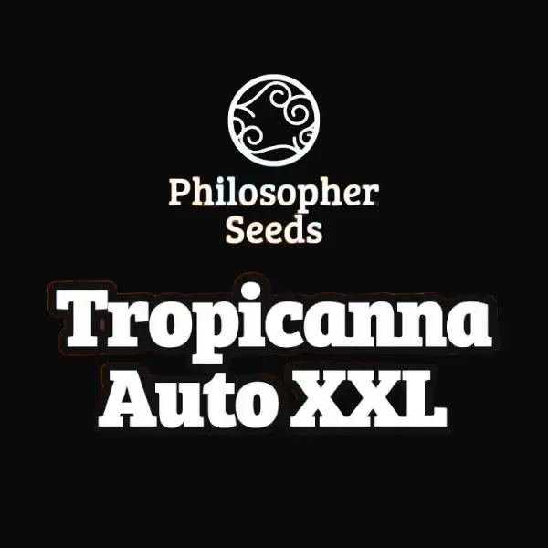 Tropicanna Auto XXL