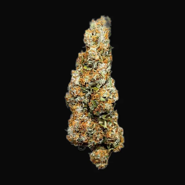 Wedding Cake Auto