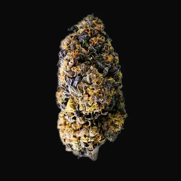 Wedding Gelato
