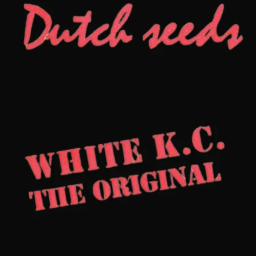 White K.C. Regular
