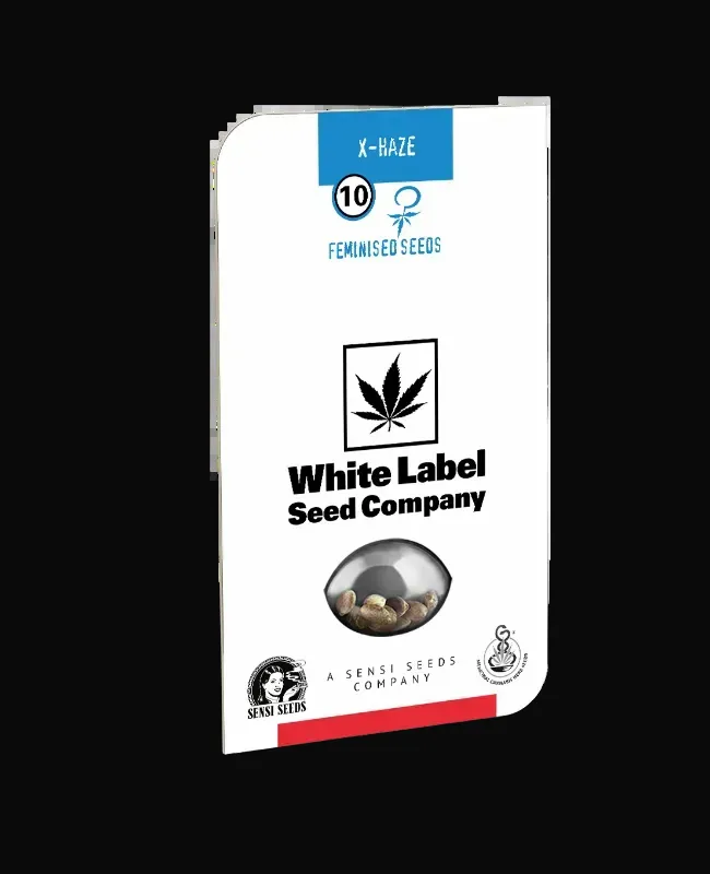 X Haze Feminized