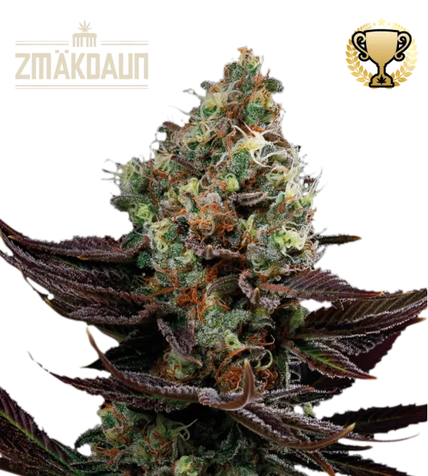 Zmäkdaun